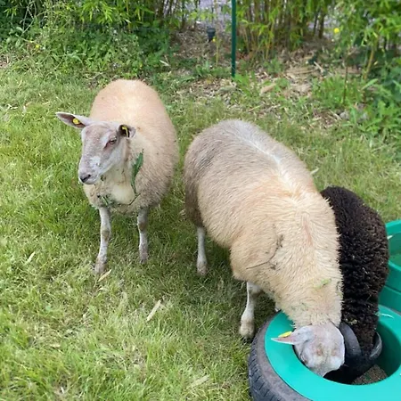 Le Noé Hébergement de vacances
